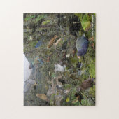 Vogels van de Nieuw-Zeelandse puzzel (Verticaal)