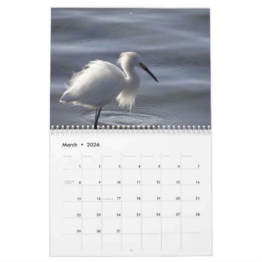 vogels van de Noord-Amerikaanse kalender (Mar 2026)