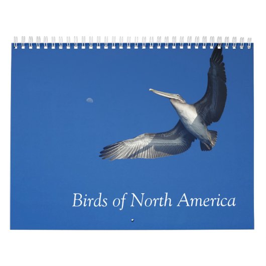 vogels van de Noord-Amerikaanse kalender (Hoes)