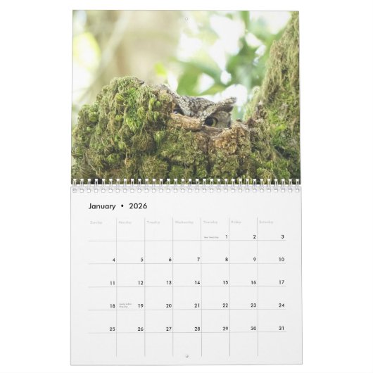 vogels van de Noord-Amerikaanse kalender (Jan 2026)