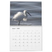 vogels van de Noord-Amerikaanse kalender (Mar 2027)