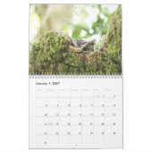 vogels van de Noord-Amerikaanse kalender (Jan 2027)