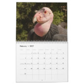 vogels van de Noord-Amerikaanse kalender (Feb 2027)