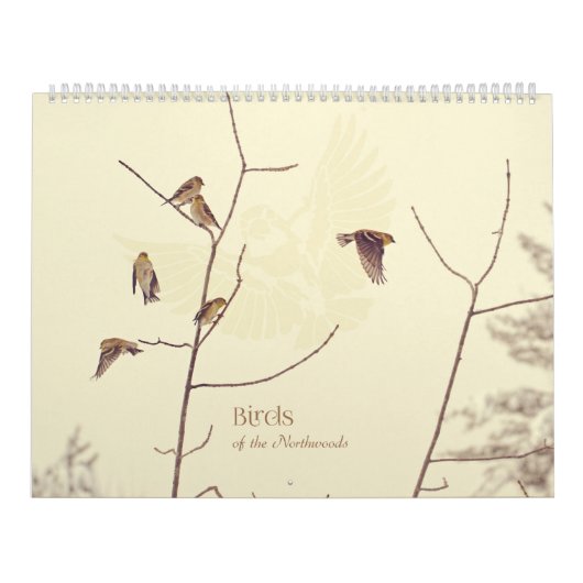 Vogels van de noordhoutkalender kalender (Hoes)