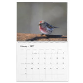 Vogels van de noordhoutkalender kalender (Feb 2027)