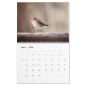 Vogels van de noordhoutkalender kalender (Mar 2026)
