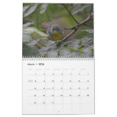 Vogels van de Oost-Amerikaanse kalender (Mar 2026)