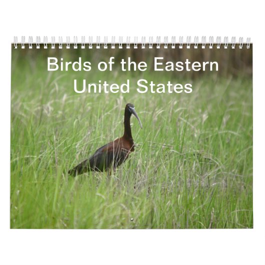 Vogels van de Oost-Amerikaanse kalender (Hoes)