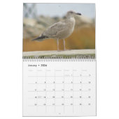 Vogels van de Oost-Amerikaanse kalender (Jan 2026)