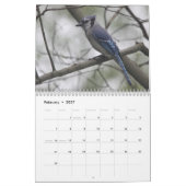 Vogels van de Oost-Amerikaanse kalender (Feb 2027)