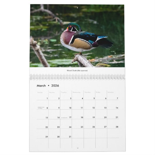 vogels van de Pacific Northwest 2021-kalender Kalender (Mar 2026)