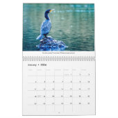 vogels van de Pacific Northwest 2021-kalender Kalender (Jan 2026)