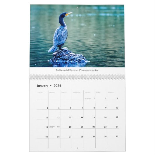 vogels van de Pacific Northwest 2021-kalender Kalender (Jan 2026)