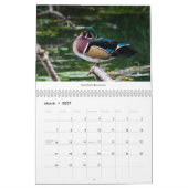 vogels van de Pacific Northwest 2021-kalender Kalender (Mar 2027)