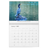 vogels van de Pacific Northwest 2021-kalender Kalender (Jan 2027)