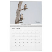 Vogels van de Pacifische noordwestelijke kalender  (Mar 2026)