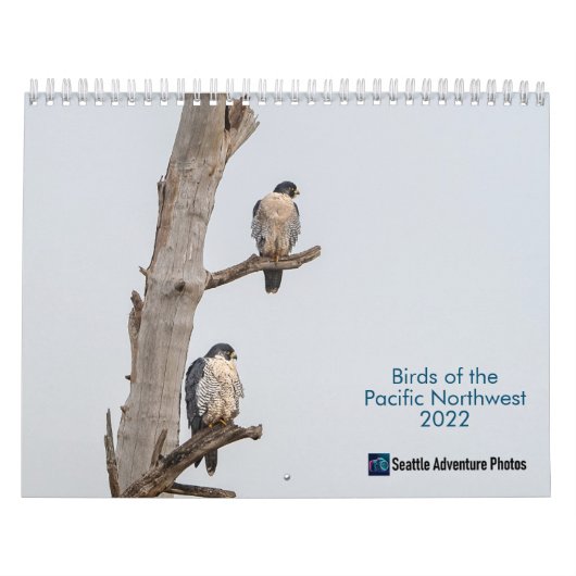 Vogels van de Pacifische noordwestelijke kalender  (Hoes)