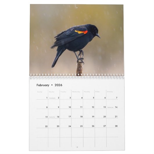 vogels van de PNW Kalender (Feb 2026)
