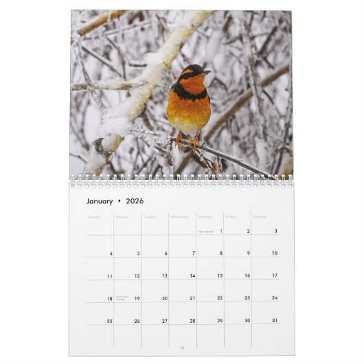 vogels van de PNW Kalender (Jan 2026)