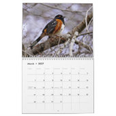 vogels van de PNW Kalender (Mar 2027)
