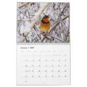 vogels van de PNW Kalender (Jan 2027)