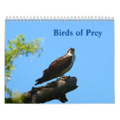 vogels van de Prey-kalender Kalender (Hoes)