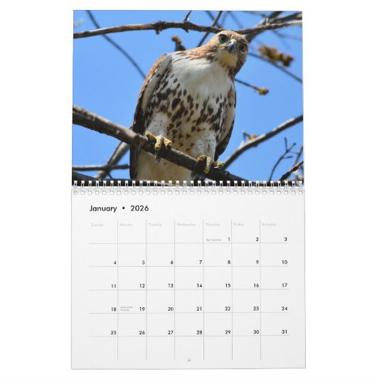 vogels van de Prey-kalender Kalender (Jan 2026)