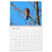 vogels van de Prey-kalender Kalender (Mar 2027)