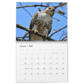 vogels van de Prey-kalender Kalender (Jan 2027)