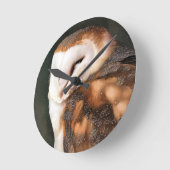 VOGELS VAN DE PREY OWL RONDE KLOK (Hoek)