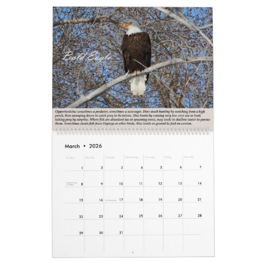 vogels van de prooi-kalender kalender (Mar 2026)