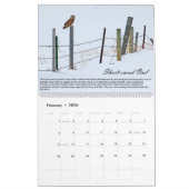 vogels van de prooi-kalender kalender (Feb 2026)