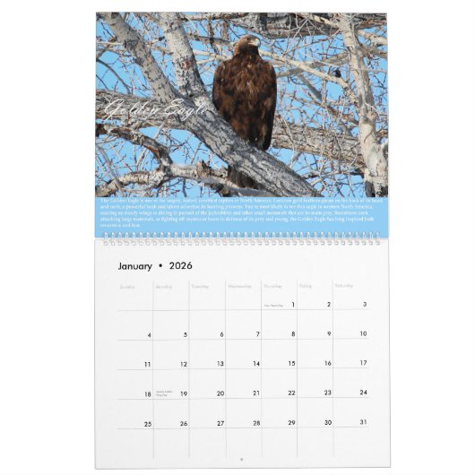 vogels van de prooi-kalender kalender (Jan 2026)
