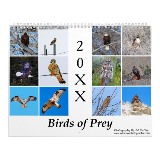vogels van de prooi-kalender kalender (Hoes)