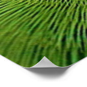 Vogels van de Wereld Indische ringhalswortel Poster (Hoek)