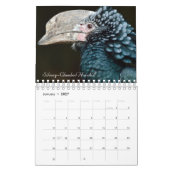 Vogels van de wereld kalender (Jan 2027)