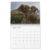 Vogels van de wereld kalender (Feb 2027)