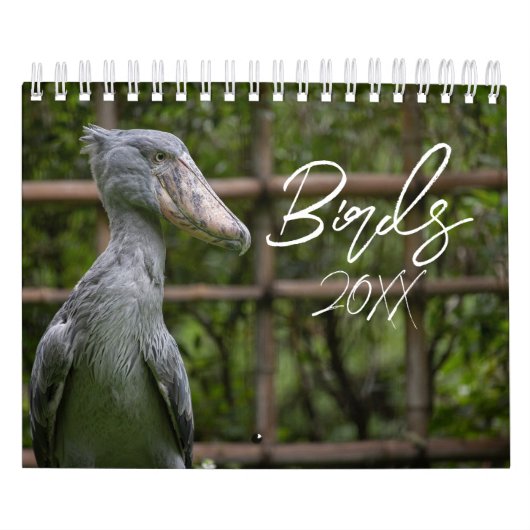 Vogels van de wereld kalender (Hoes)