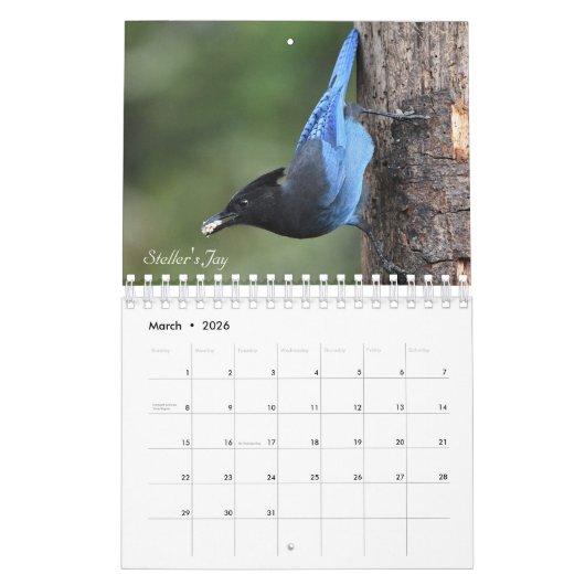 Vogels van de wereld kalender (Mar 2026)
