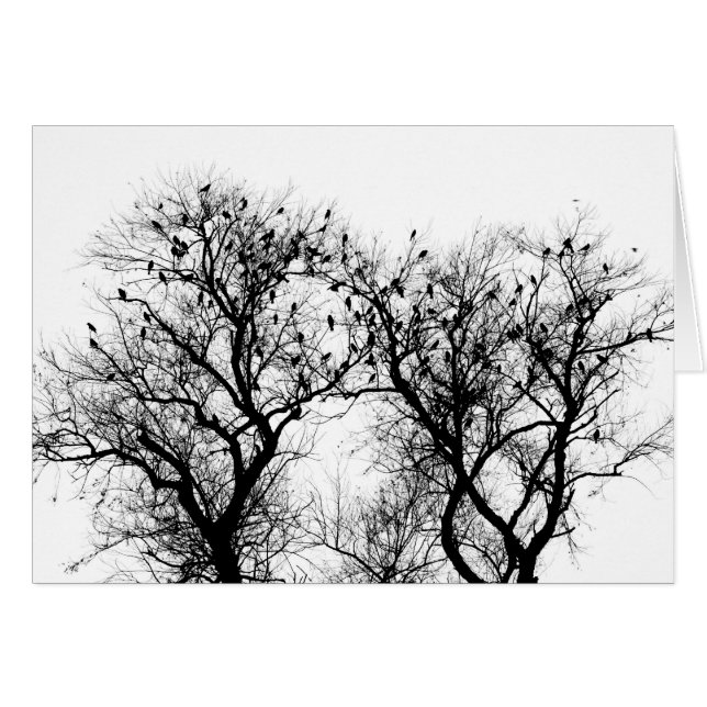 Vogels van de winter (Voorkant Horizontaal)