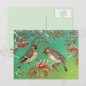 Vogels van de winter briefkaart (Voorkant / Achterkant)