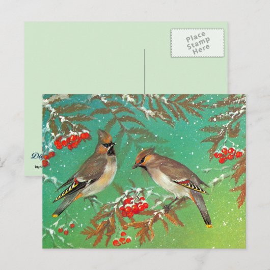 Vogels van de winter briefkaart (Voorkant / Achterkant)