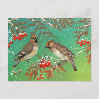 Vogels van de winter briefkaart
