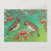 Vogels van de winter briefkaart (Voorkant)