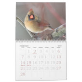 Vogels van de winter kalender (Feb 2027)