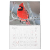 Vogels van de winter kalender (Jan 2027)