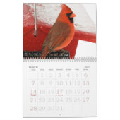 Vogels van de winter kalender (Mar 2027)