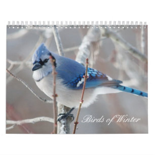 Vogels van de winter kalender