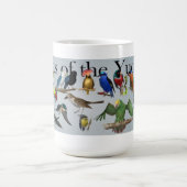 Vogels van de Yucatan-Mok Koffiemok (Center)