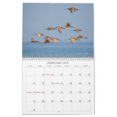 Vogels van de Zeeen en Wateren Kalender (Feb 2027)